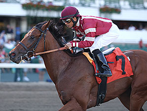 Posse Dreamin wins the 2014 Jersey Juvenile Stakes.