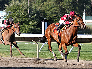 Posse Dreamin wins the 2014 Jersey Juvenile Stakes.