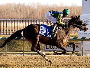Potosina wins the 2011 Nellie Morse Stakes.