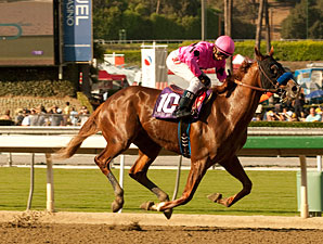 Power Broker wins the 2012 FrontRunner.