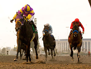 Premier Pegasus wins the 2010 Hollywood Prevue.
