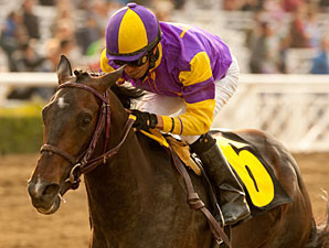 Premier Pegasus wins the 2011 San Felipe.