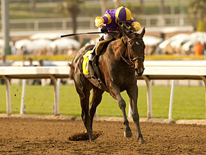 Premier Pegasus wins the 2011 San Felipe.