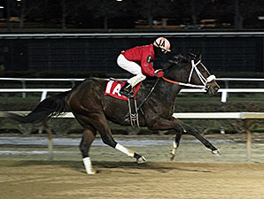 Present Course mile allowance Mountaineer, new track record, 11/19/2014.