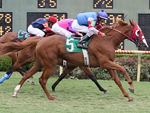 Pretty Not wins the 2012 Louisiana Cup Distaff.