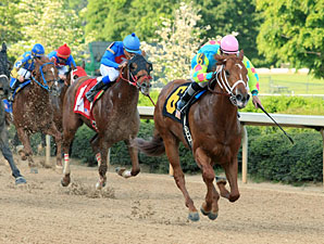 Primetime Dreamer wins the 2012 Rainbow Stakes.