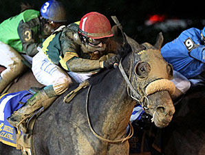 Prince of Windsor wins the 2014 West Virginia Lottery Breeders' Classic Stakes.