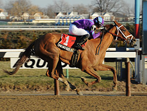 Princess of Sylmar wins the 2013 Busanda.