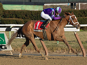 Princess of Sylmar wins the 2013 Busanda.