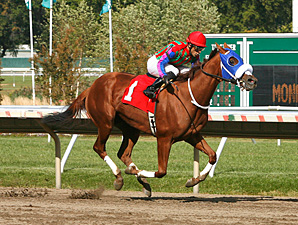 Princess Perfect wins the 2013 Jersey Girl Handicap.