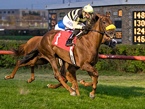 Princeville Condo wins the 2011 Robert F. Carey.