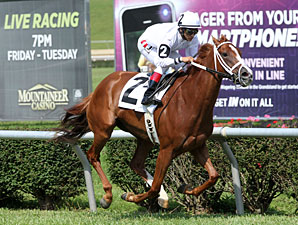 Prissy wins the 2013 West Virginia Senate President's Cup Stakes.