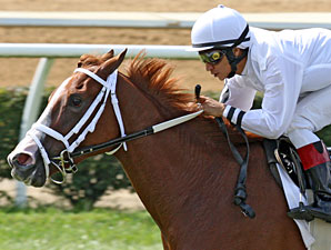 Prissy wins the 2013 West Virginia Senate President's Cup Stakes.