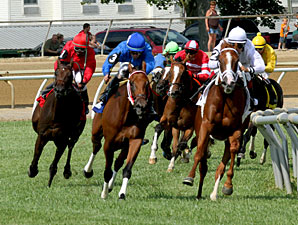 Prissy wins the 2013 West Virginia Senate President's Cup Stakes.
