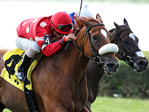 Prize Doll wins the 2012 Ms Brookski Stakes.