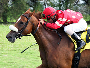 Prize Doll wins the 2012 Ms Brookski Stakes.