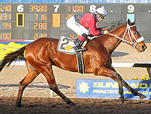 Proceed wins the Red Hedeman Mile.