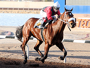 Proceed wins the Red Hedeman Mile.