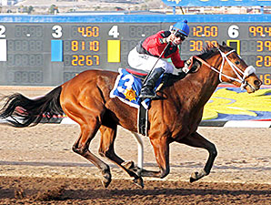 Proceed wins the 2014 Mine That Bird Derby.