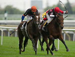 Professor's Ride wins the 2013 La Prevoyante Stakes.
