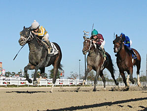 Prospective wins the 2012 Delta Mile.