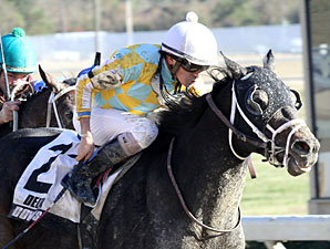 Prospective wins the 2012 Delta Mile.