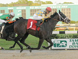 Prospective wins the 2012 Tampa Bay Derby.