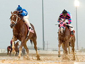 Public Speaker wins the 2009 Robert F. Carey.
