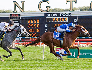 Public Speaker wins the 2009 Sea O'Erin.