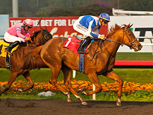 Pure Fun wins the 2012 Hollywood Starlet.