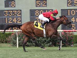 Pure Tactics wins the 2013 Barksdale Stakes.