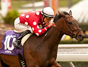 Purim's Dancer wins the Wishing Well Stakes giving jockey Gary Stevens his second graded stakes win after his return.