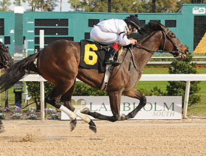 Purple Egg wins the 2012 Inaugural Stakes.
