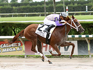 Putyourdreamsaway wins the 2012 Susan's Girl Division of the Florida Stallion Series.