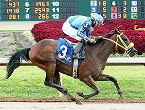 Pyrite Blue Magna wins the Kevin Goemmer Tah Dah Stakes.