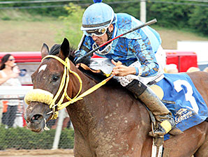 Pyrite Blue Magna wins the Kevin Goemmer Tah Dah Stakes.