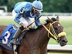 Pyrite Blue Magna wins the Kevin Goemmer Tah Dah Stakes.