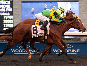 Pyrite Mountain wins the 2012 Kingarvie Stakes.