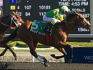 Pyrite Mountain beats Uncaptured in the Wando Stakes.