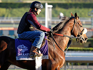 Quail Hill at Santa Anita 10/29/2012.