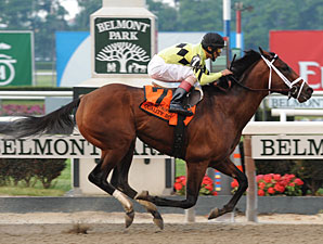 Quality Road wins the 2010 Met Mile.