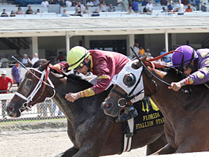 Queen Drama wins the 2011 Susan's Girl Division of the FL Stallion Stakes.