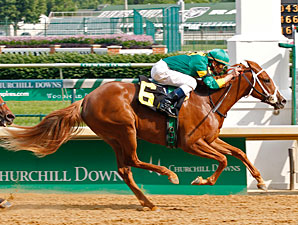 Queen Teuta at Churchill Downs.