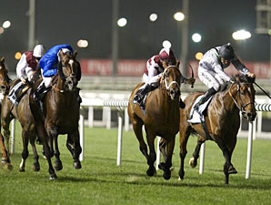 Quick Wit wins the 2013 Natagora Handicap.