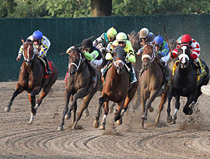 Quiet Giant wins the 2011 Molly Pitcher.