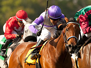 Quiet Oasis wins the 2012 Wilshire Handicap.