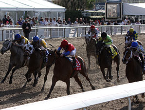 Quiet Temper wins the 2010 Fair Grounds Oaks.