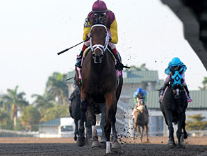 R Heat Lightning wins the 2011 Gulfstream Oaks.