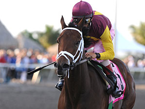 R Heat Lightning wins the 2011 Gulfstream Oaks.