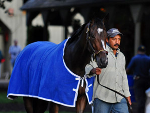 Rachel Alexandra in Final Woodward Tuneup